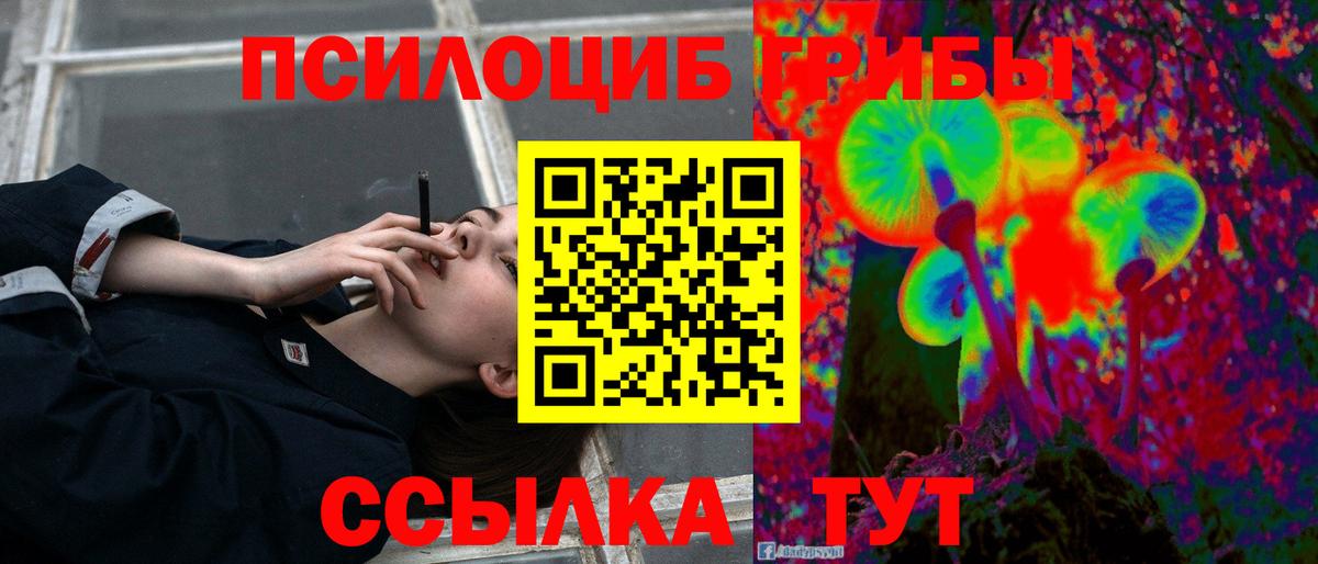 Галлюциногенные грибы Magic Shrooms  Вход с VPN  Алапаевск  Галлюциногенные грибы Magic Shrooms 